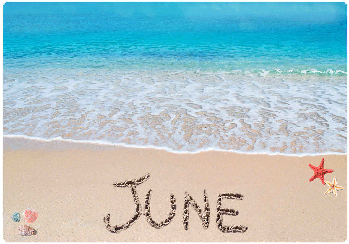Insights June 2023