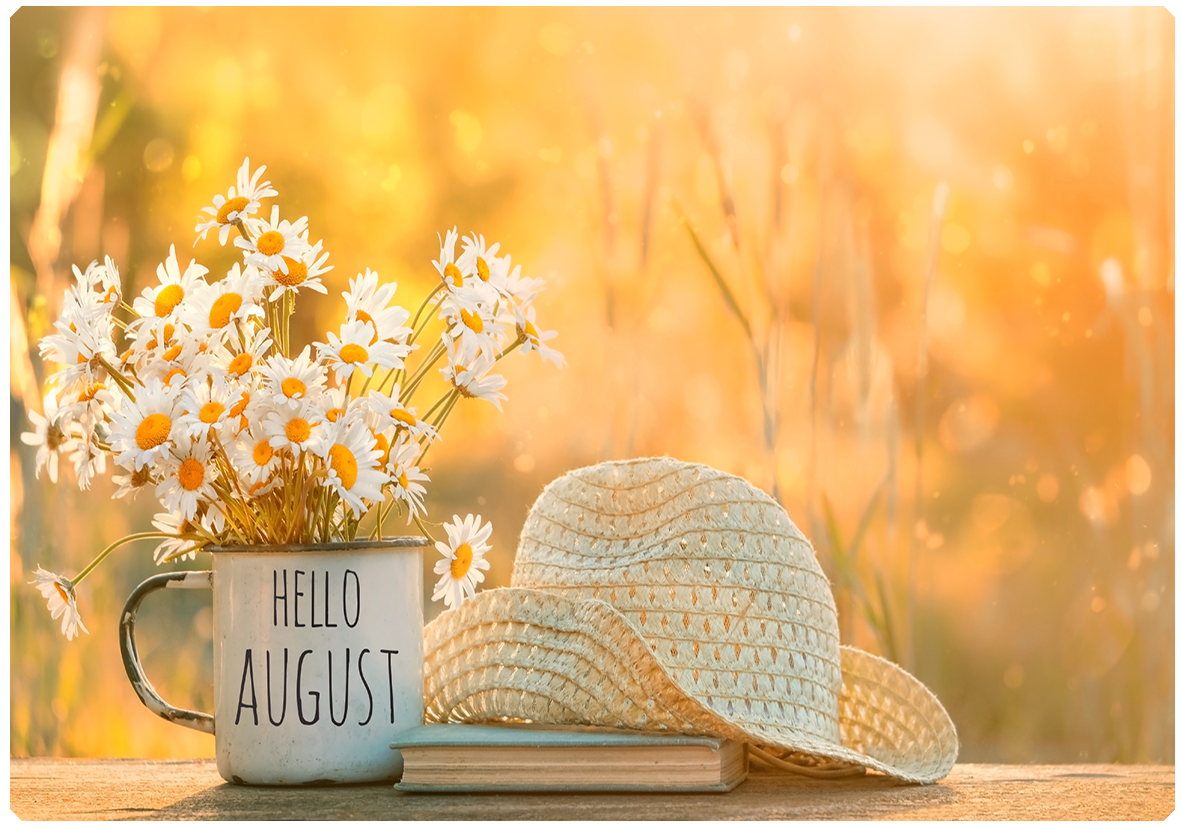 Insights August 2023