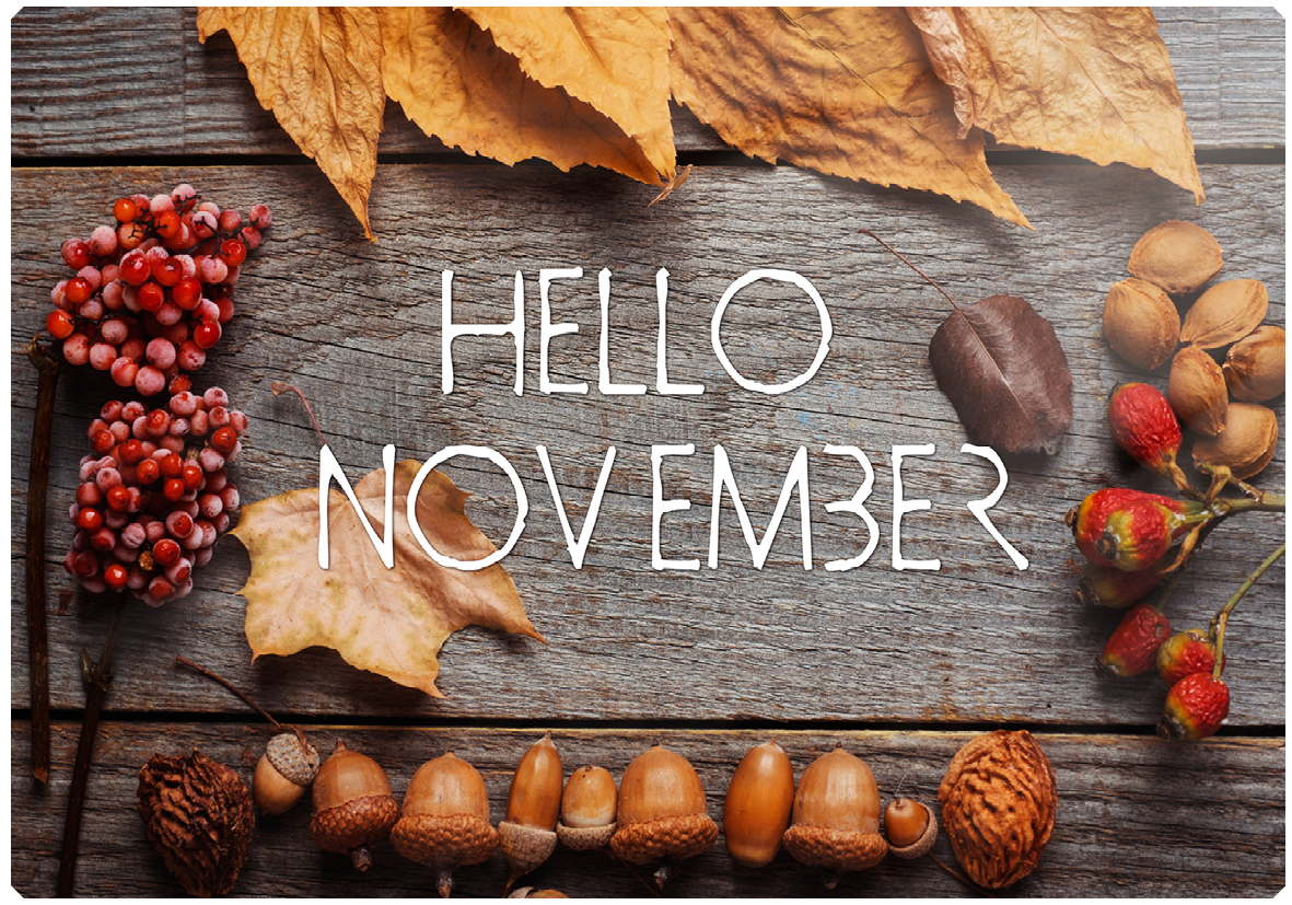 Insights November 2023
