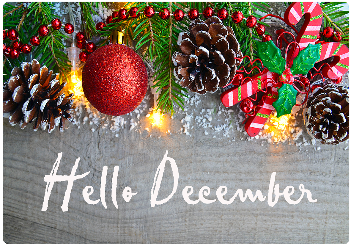 Insights December 2023