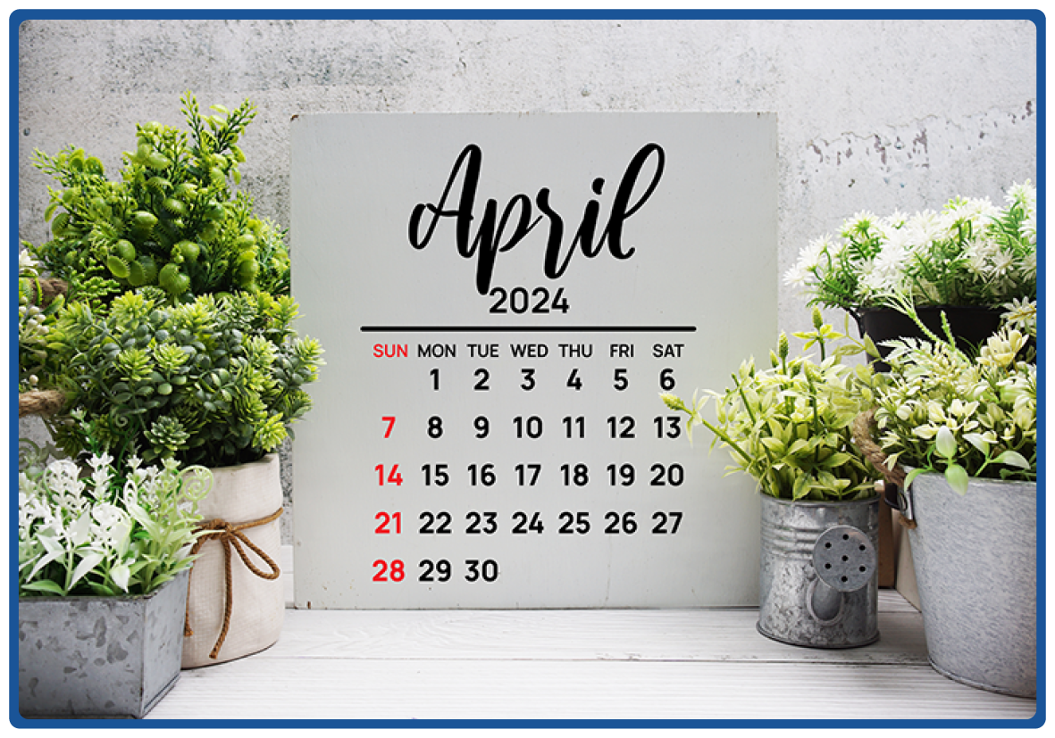 Inspection Insights April 2024