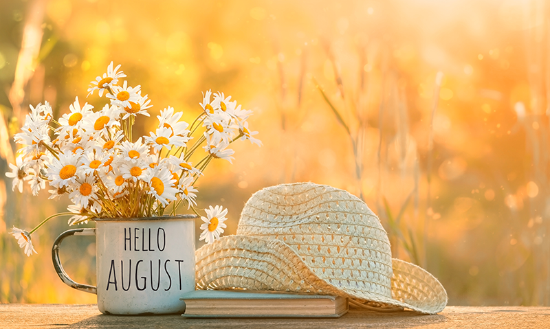 Inspection Insights August 2024