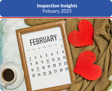 Insights February 2025