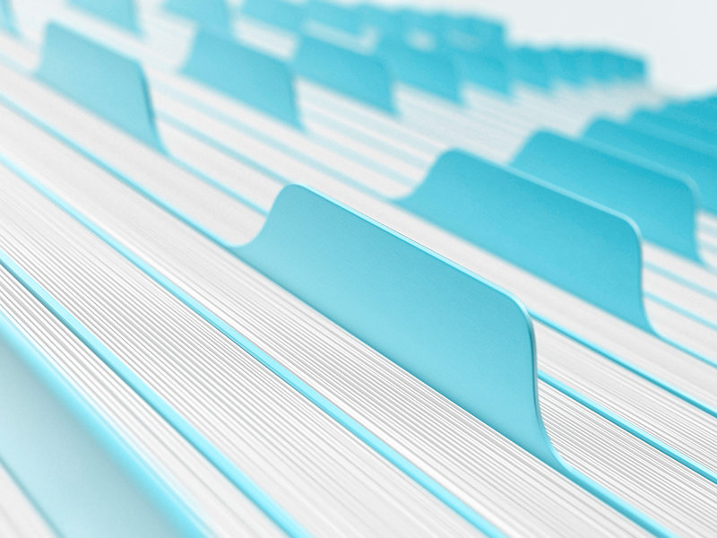 E101. Developing a safeguarding central record (SCR)
