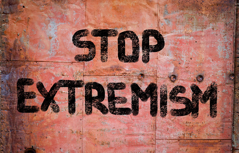 E328. Extremism in society and at work