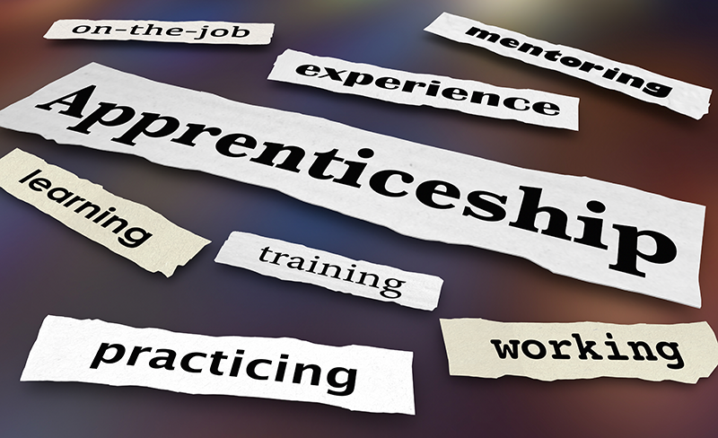 A507. Managing OTLA in apprenticeships