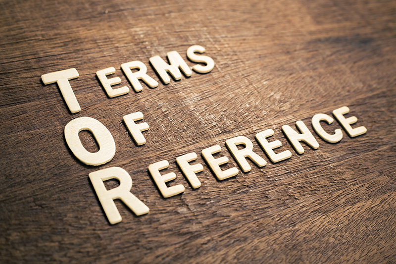 A701. Board sample terms of reference