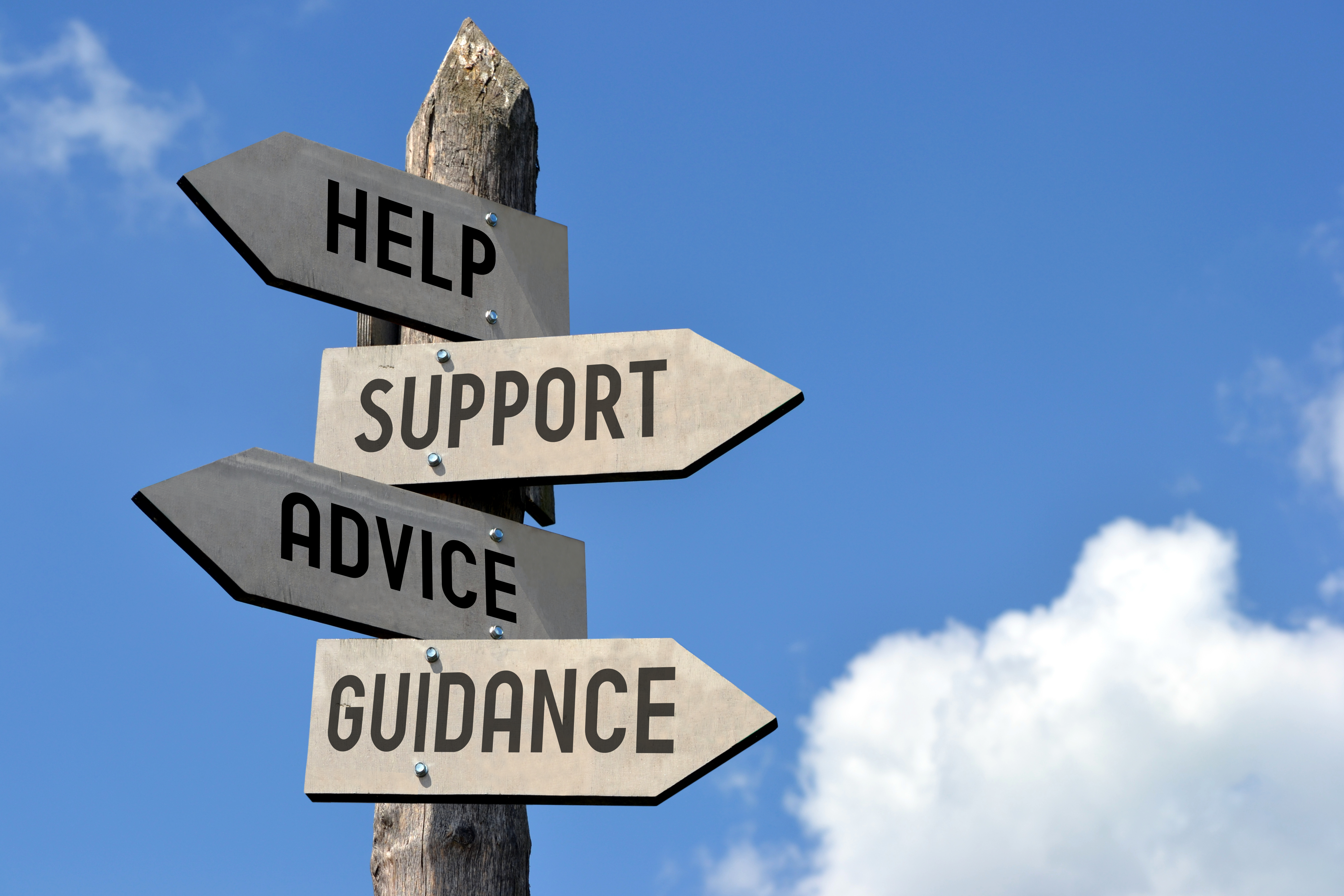 D202. Providing career advice and guidance