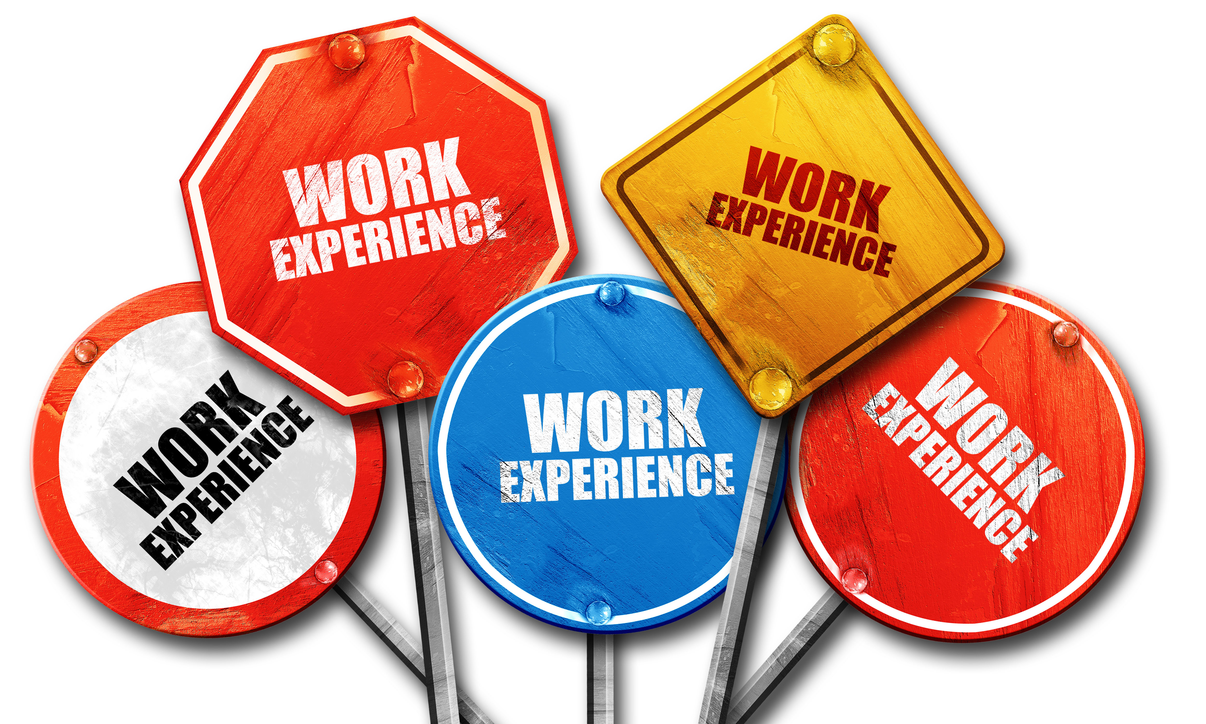 D303. Ideas and planning for work placements