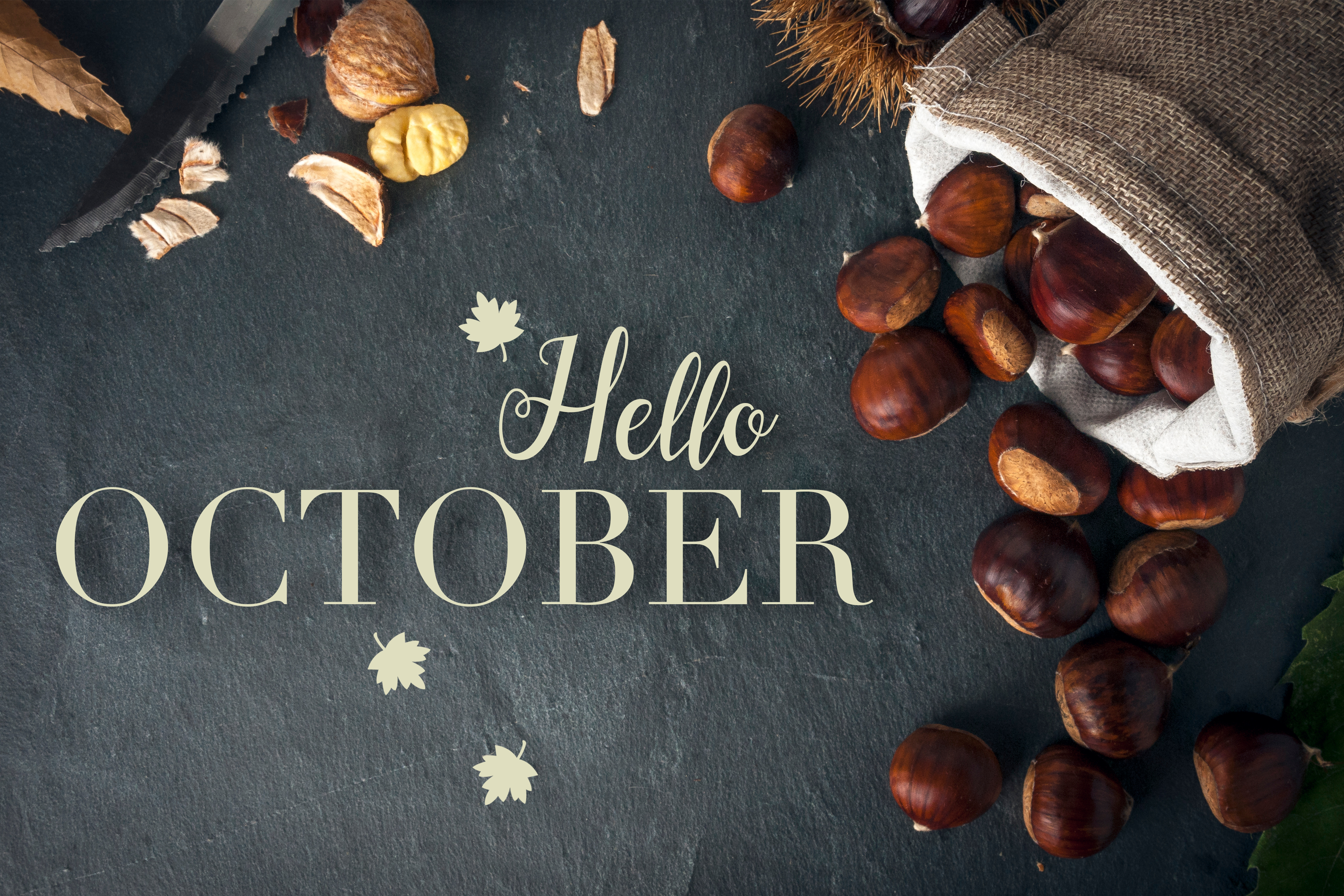Insights October 2025