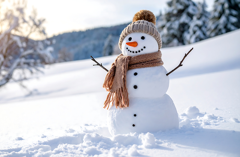 Insights February 2026